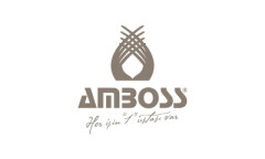 Amboss